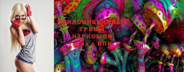 PSILOCYBIN Вяземский